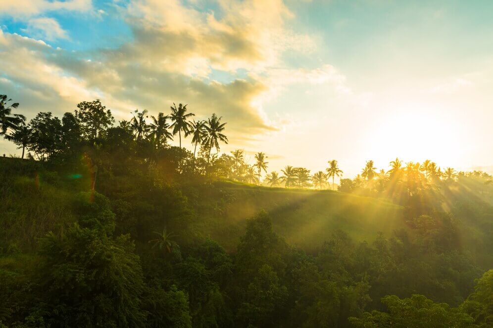 Enfermedades tropicales: Aspectos esenciales