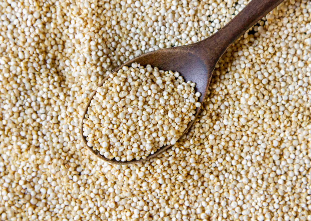 20 Alimentos nutritivos de Bolivia
