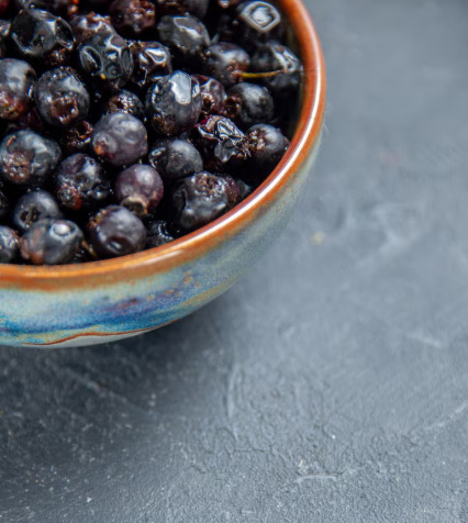 20 Alimentos nutritivos de Chile
