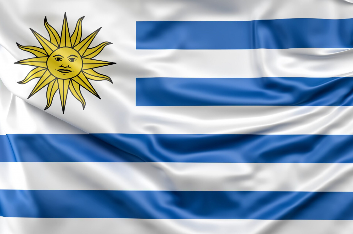 Tipos de Seguros en Uruguay