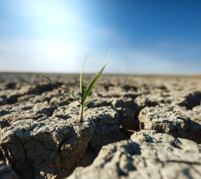 ¿Cómo prevenir el cambio climático?