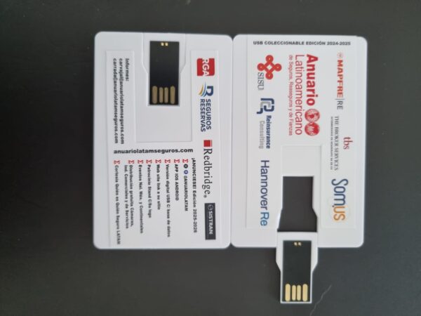 Sponsor Anuario Digital (USB) - Imagen 3