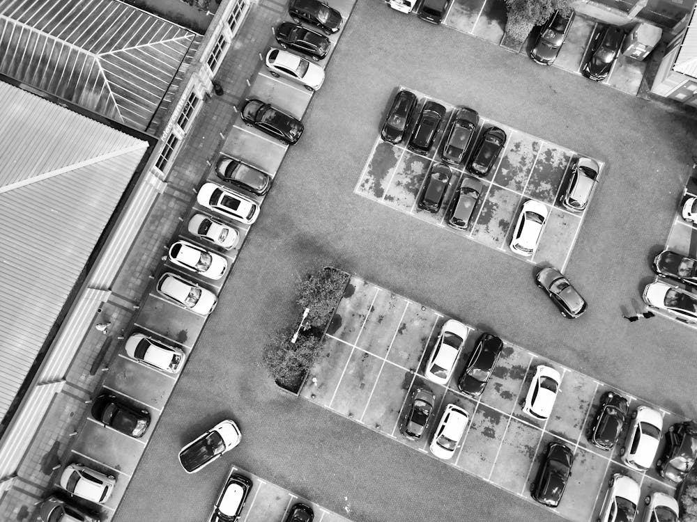 free photo of blanco y negro ciudad coches vehiculos