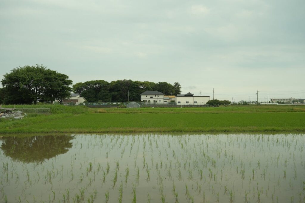 free photo of casas edificios campo agricultura