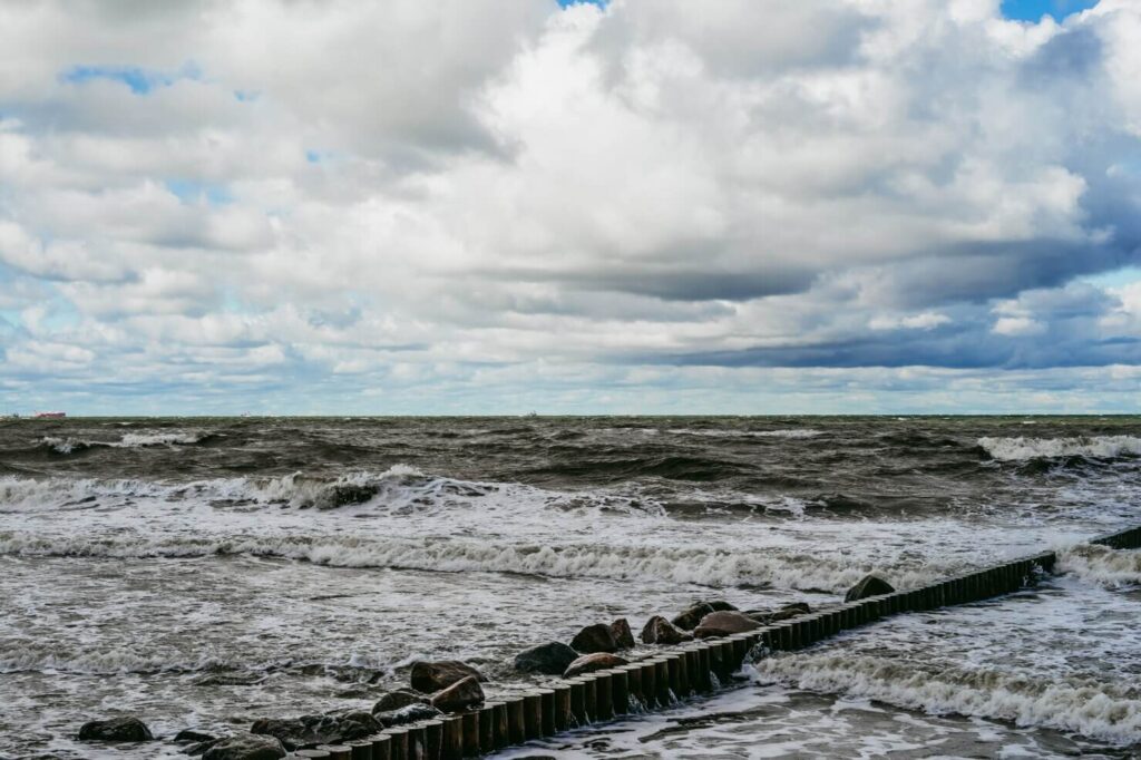 La Gestión de Riesgos Climáticos en el Sector Asegurador 