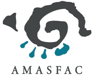 Asociación Mexicana de Agentes de Seguros y Fianzas